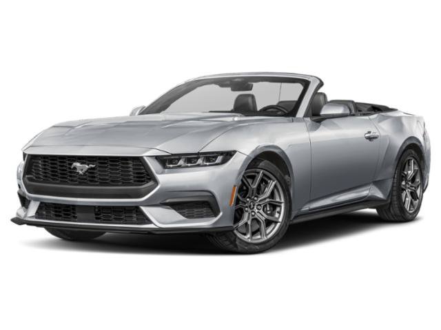 Used 2024 Shadow Black Ford EcoBoost Premium image 1