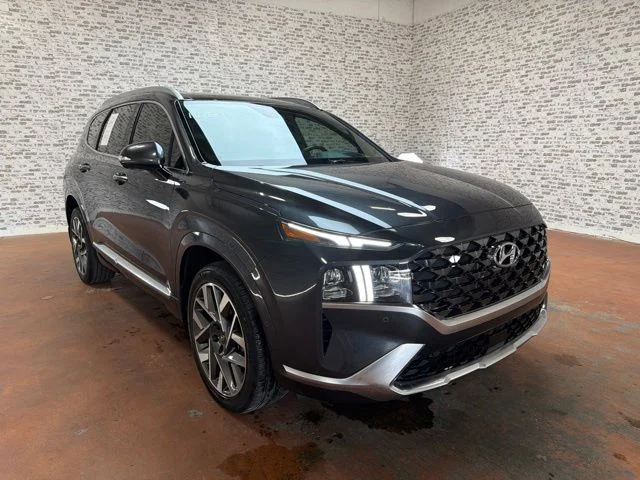 Used 2023 Portofino Gray Hyundai Calligraphy image 7
