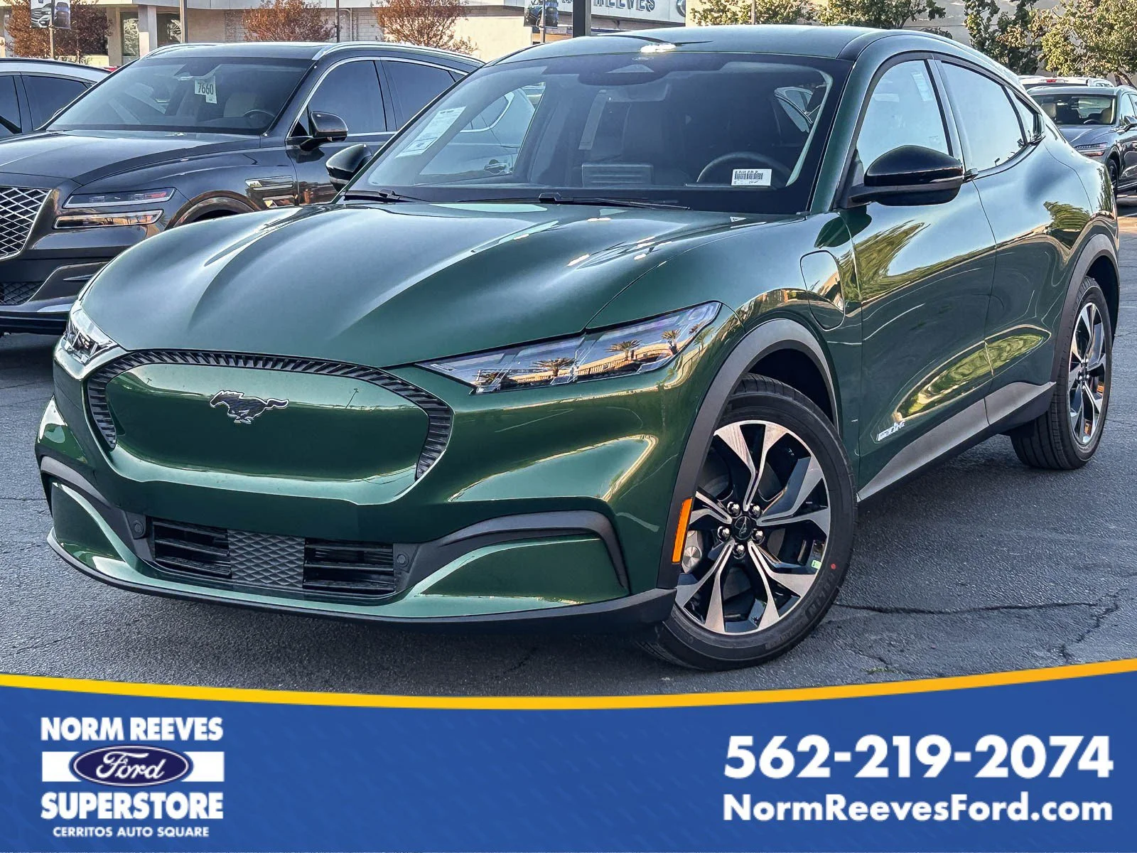 New 2026 Eruption Green Metallic Ford Select image 1