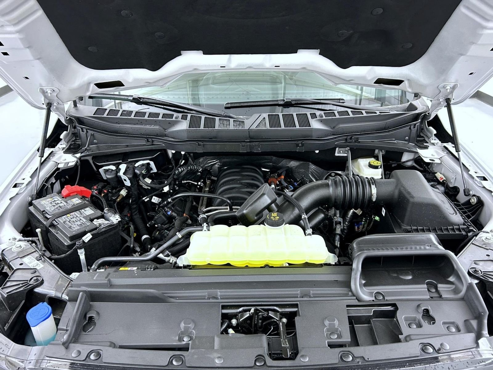 New 2026 Oxford White Ford XLT image 24