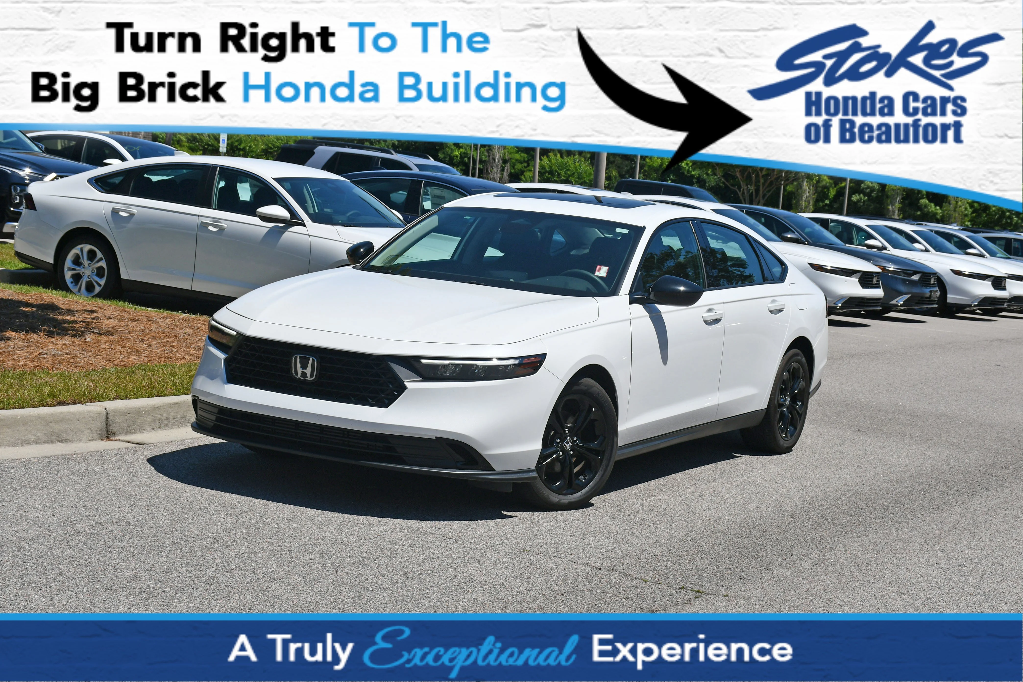 Used 2025  Honda SE image 1
