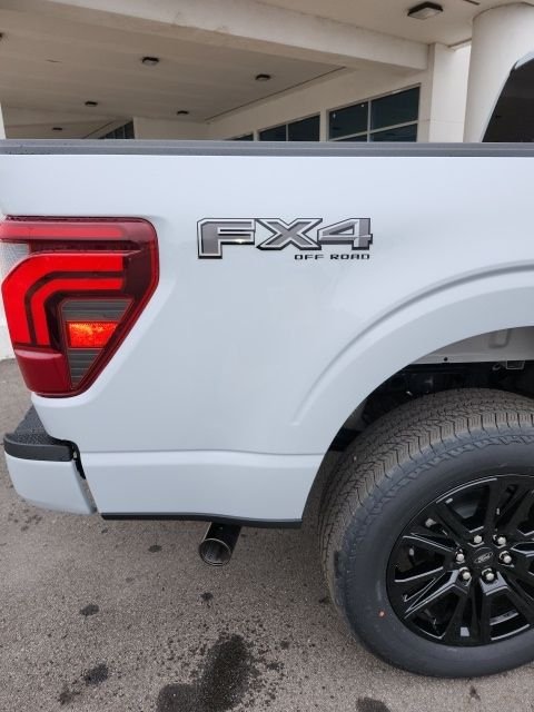 2025 Ford F-150 Platinum - Photo 24