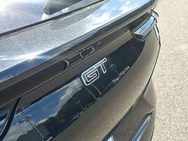 2025 Ford Mustang Mach-E GT - Photo 16