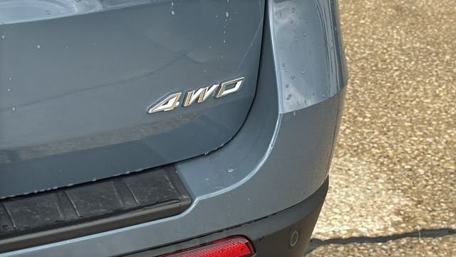 Used 2025 Blue Ford Active image 12