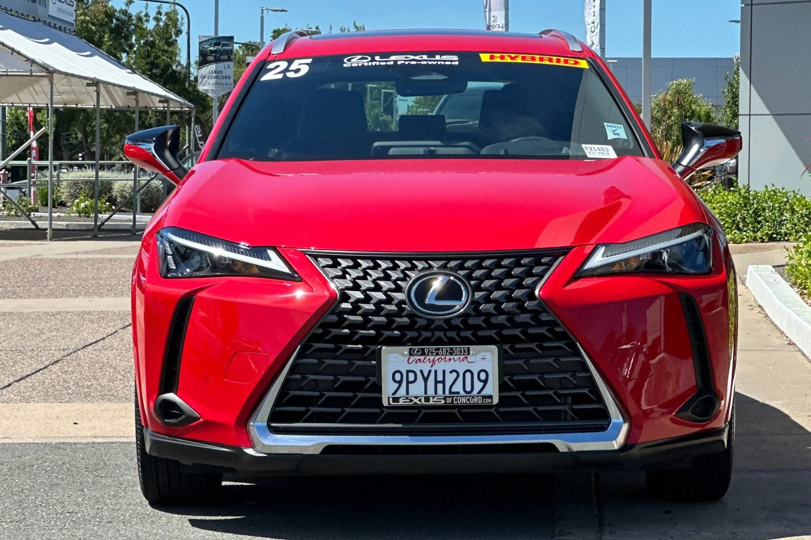 Used 2025 Red Line Lexus 300h Premium image 6