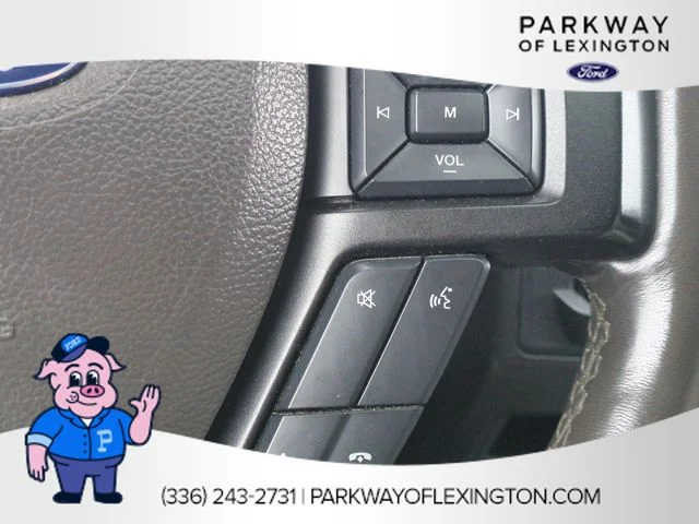 Used 2018 Blue Ford Limited image 18
