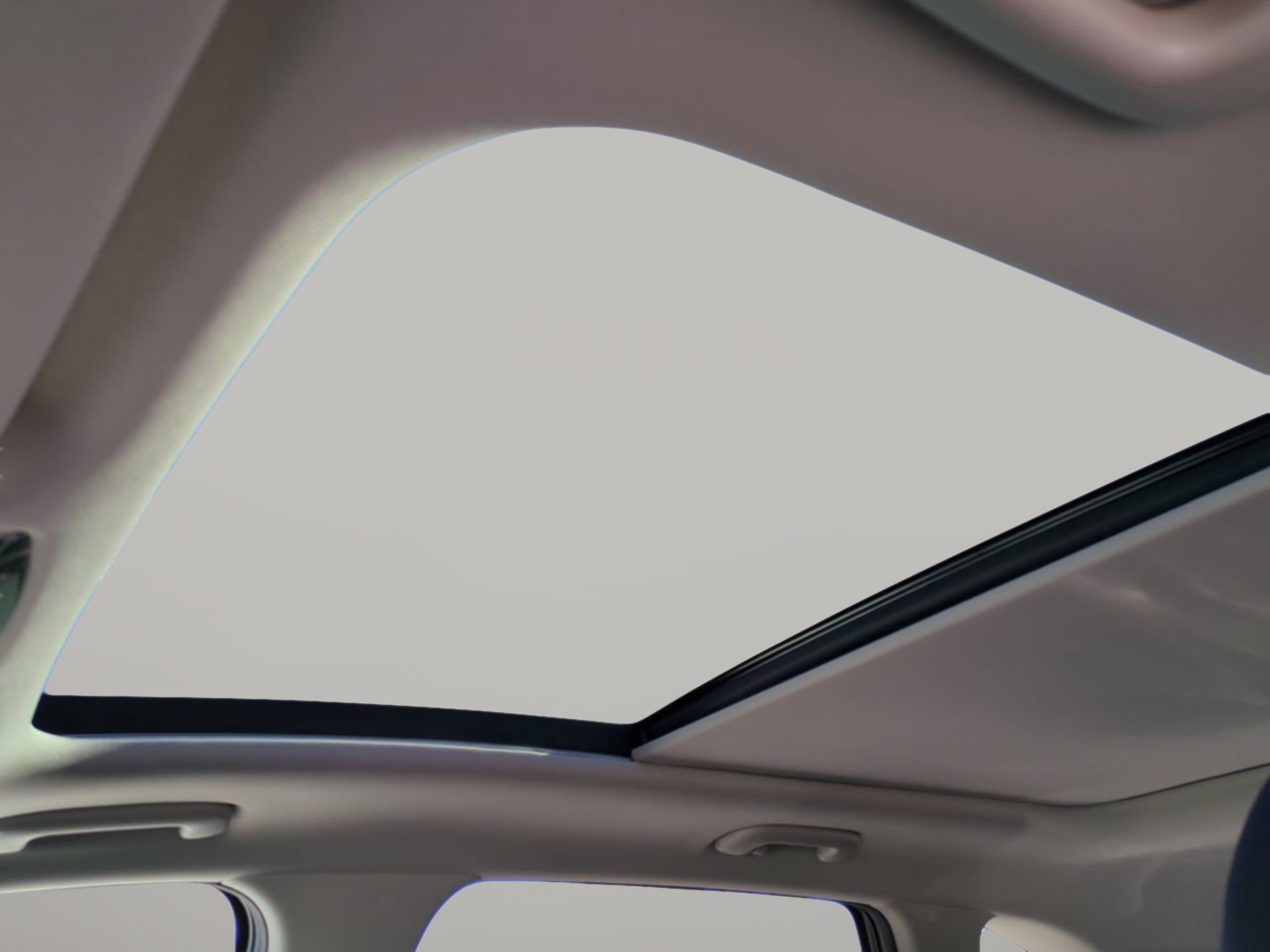 New 2026 Panthera Metal Kia S image 22