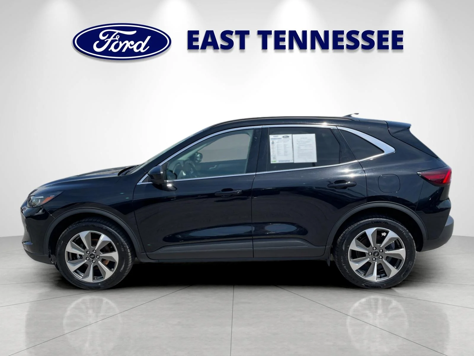 Used 2024  Ford Platinum image 6