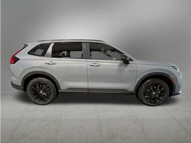 New 2026 Urban Gray Pearl Honda Sport-L image 8