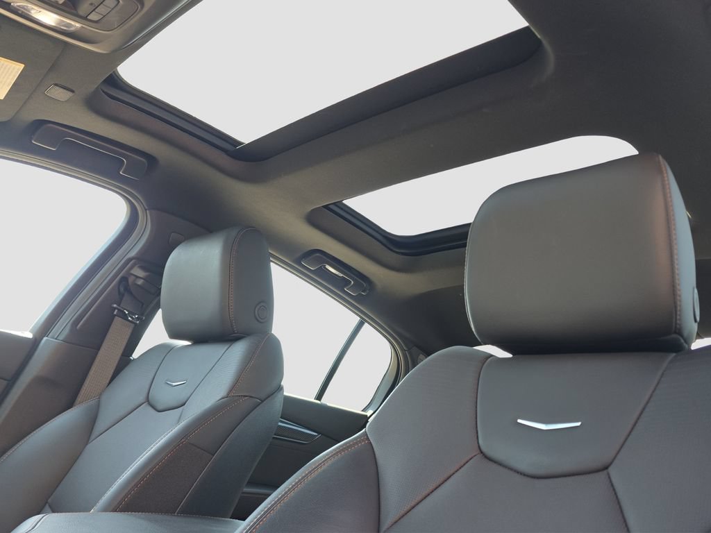 Used 2025 Typhoon Metallic Cadillac Sport image 8