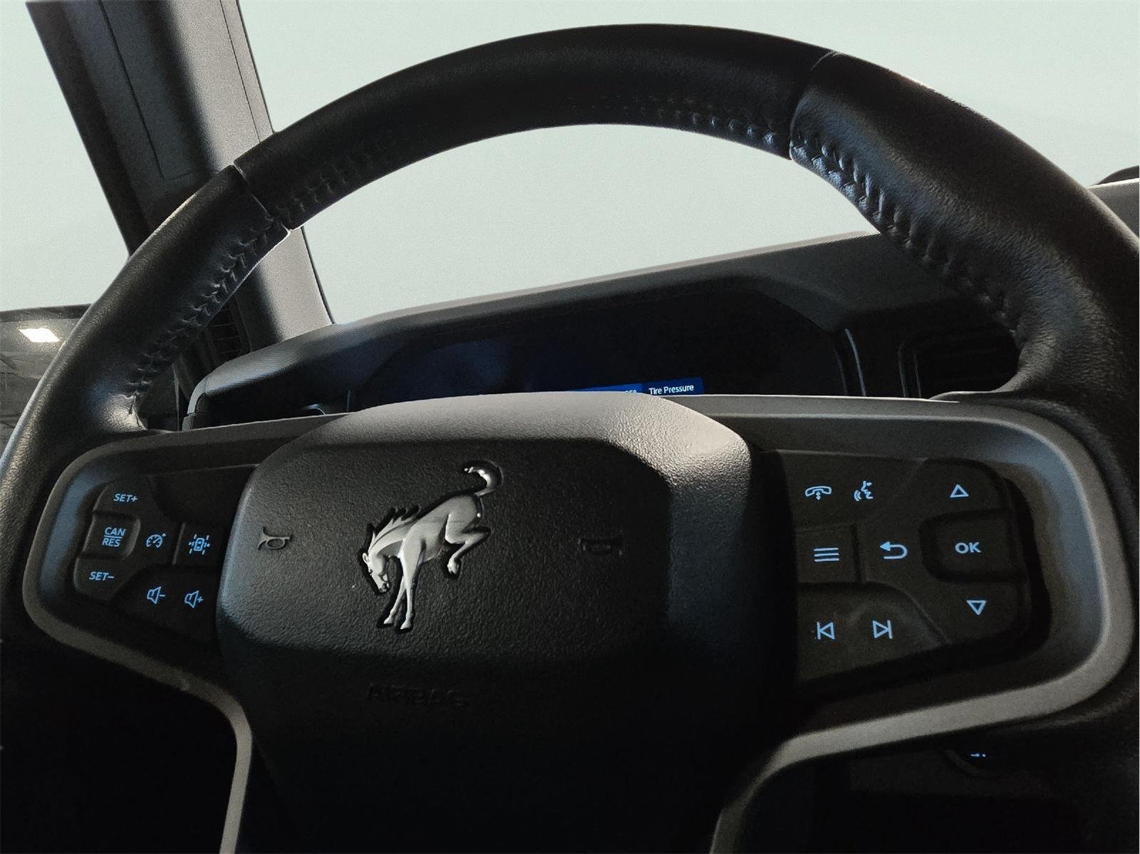 Used 2023 Iconic Silver Ford Black Diamond image 33