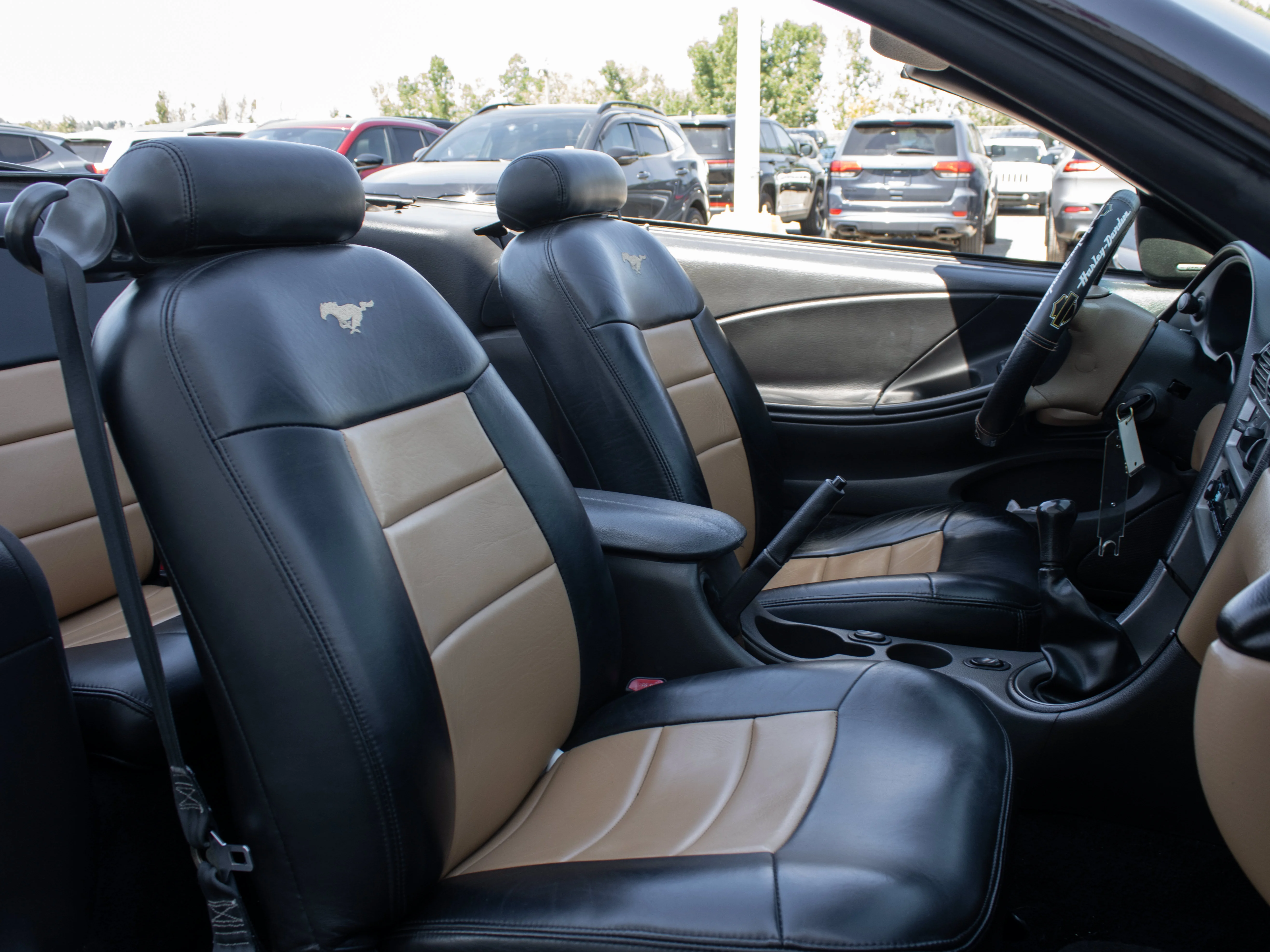 Used 1997 Black Ford GT* Convertible | 4.6L V8 | 5-Speed Manual | SVT Wheels | image 21