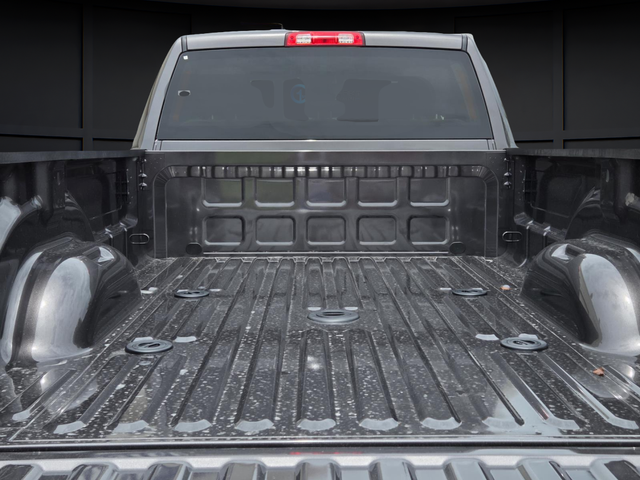 New 2026 Granite Crystal Metallic Clear-Coat Exterior Paint RAM Tradesman image 6