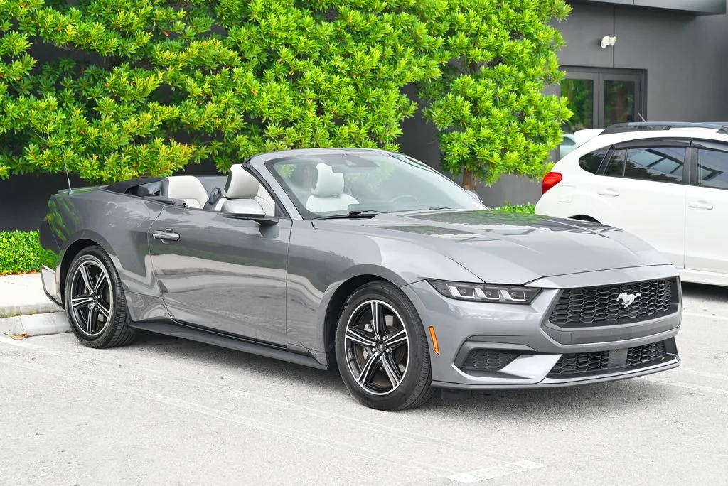 Used 2024 Gray Ford EcoBoost Premium image 3