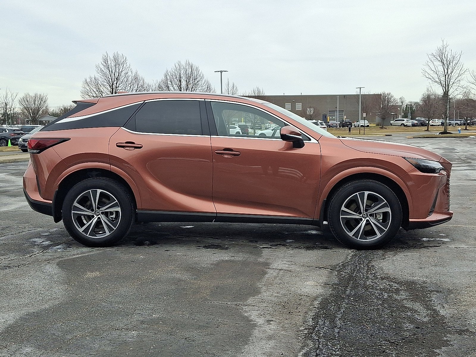 2025 Lexus RX 350 - Photo 7