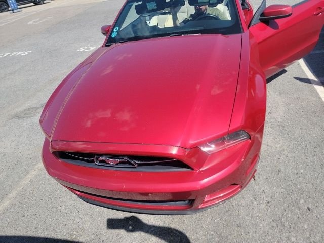 Used 2013 Ford Mustang V6 Premium with VIN 1ZVBP8EM9D5212688 for sale in Winterville, NC