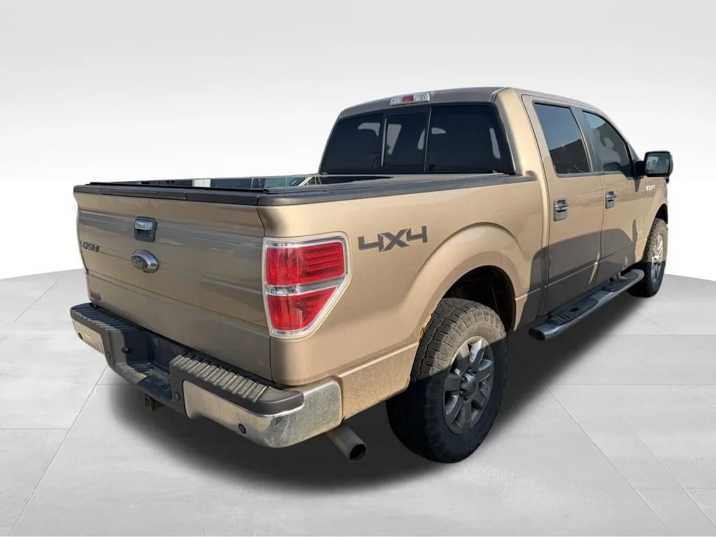 Used 2013 Gold Ford XLT image 3