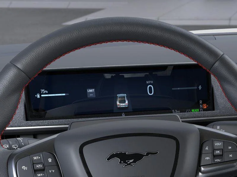 New 2026 Shadow Black Ford Premium image 13