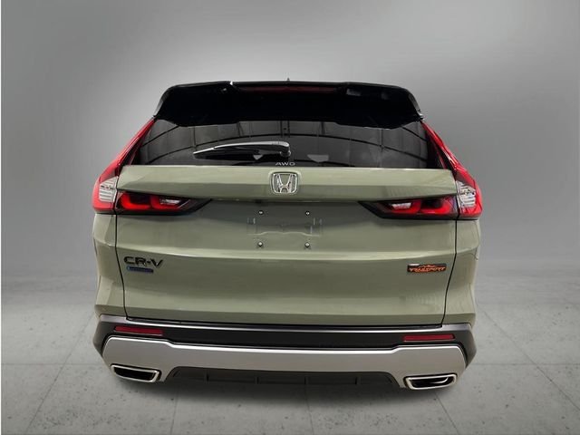 New 2027 Ash Green Metallic Honda TrailSport image 4