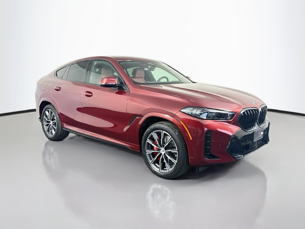 2024 BMW X6