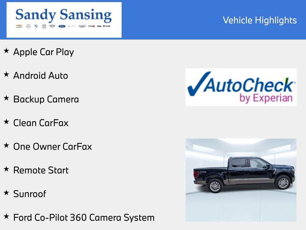 Used 2025 Blue Ford King Ranch image 7