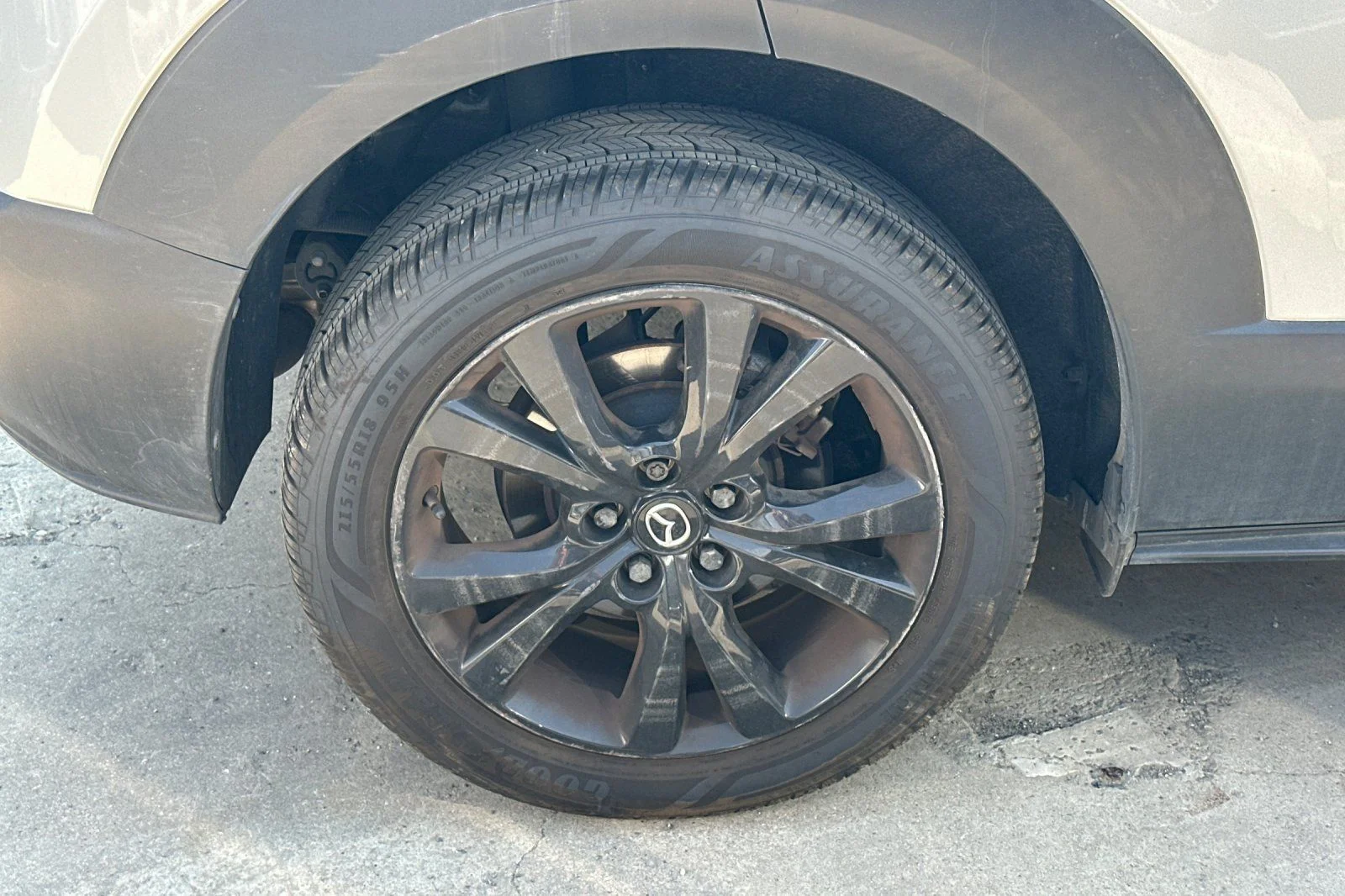 Photo 4