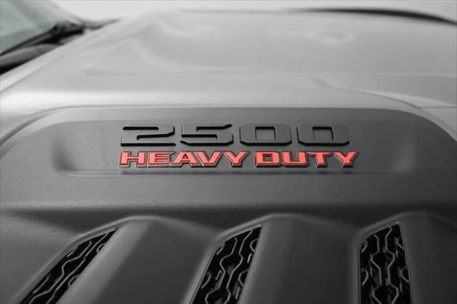 New 2026 Ceramic Gray Clearcoat RAM Black Express image 6