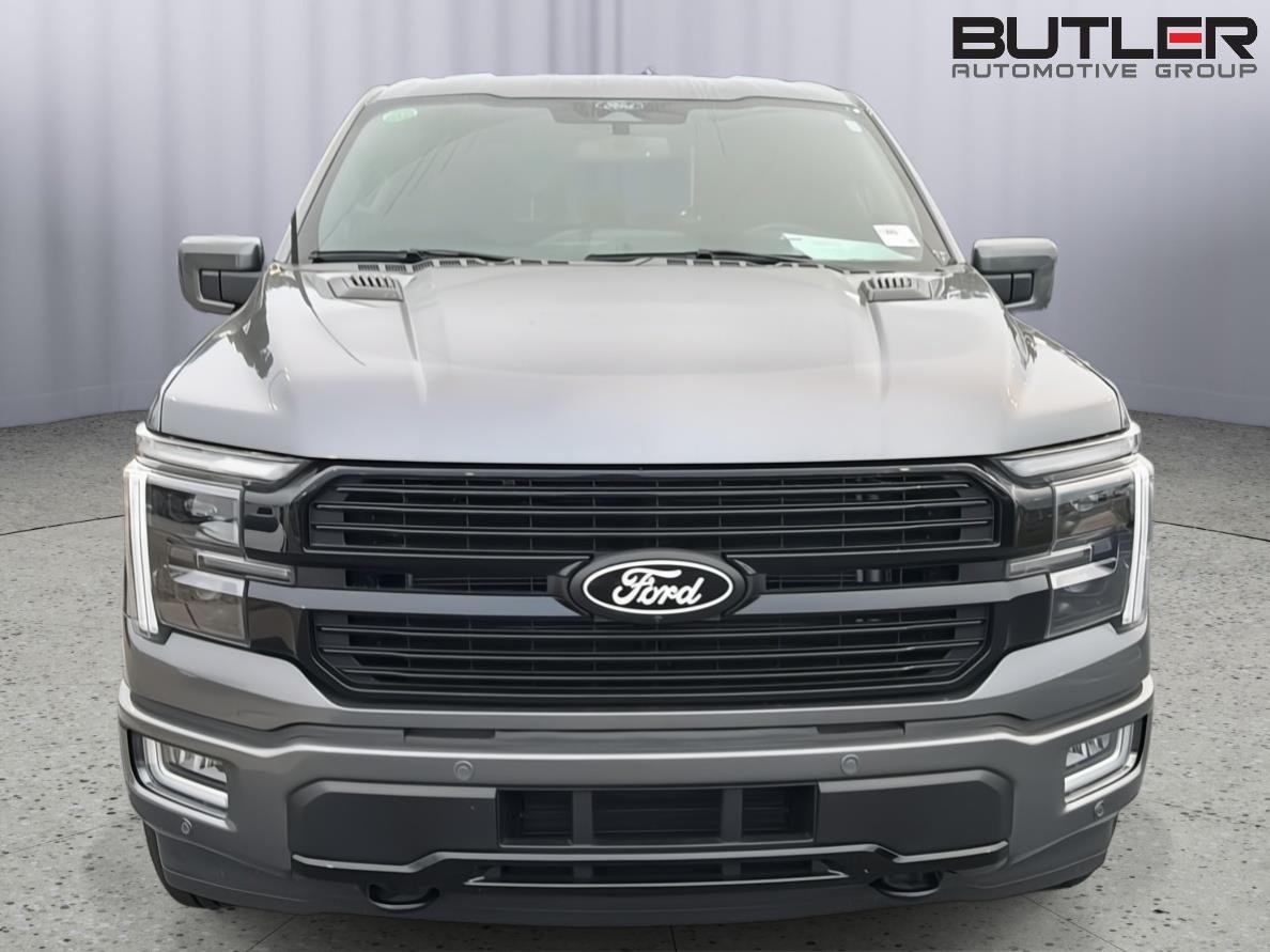 2024 Ford F-150 Platinum - Photo 9