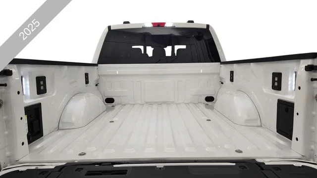New 2025 White Ford Platinum image 21