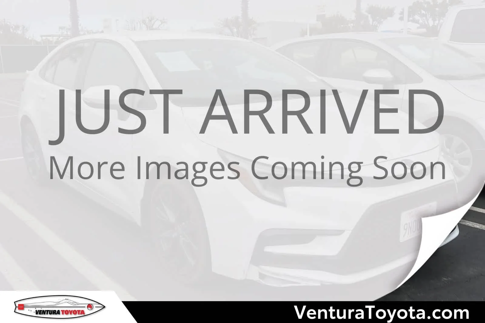 2024 Toyota Corolla SE CVT's photo