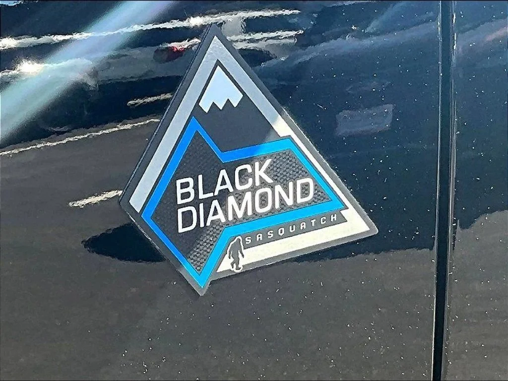 Used 2023 Shadow Black Ford Black Diamond image 26