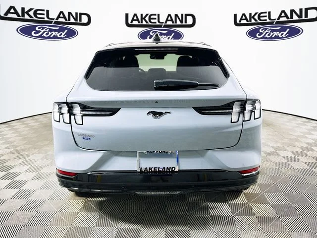 New 2026 Gray Ford Premium image 4