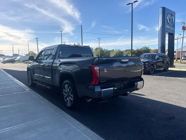 Used 2025 Gray Toyota 1794 image 5