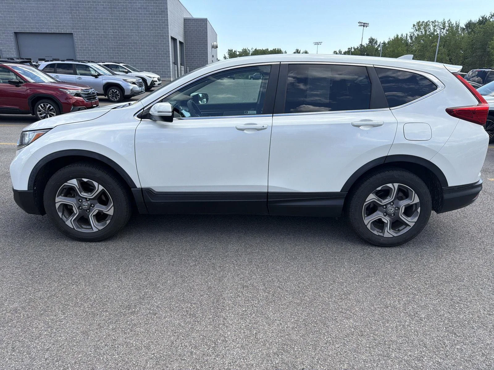 Used 2019 Platinum White Pearl Honda EX image 4