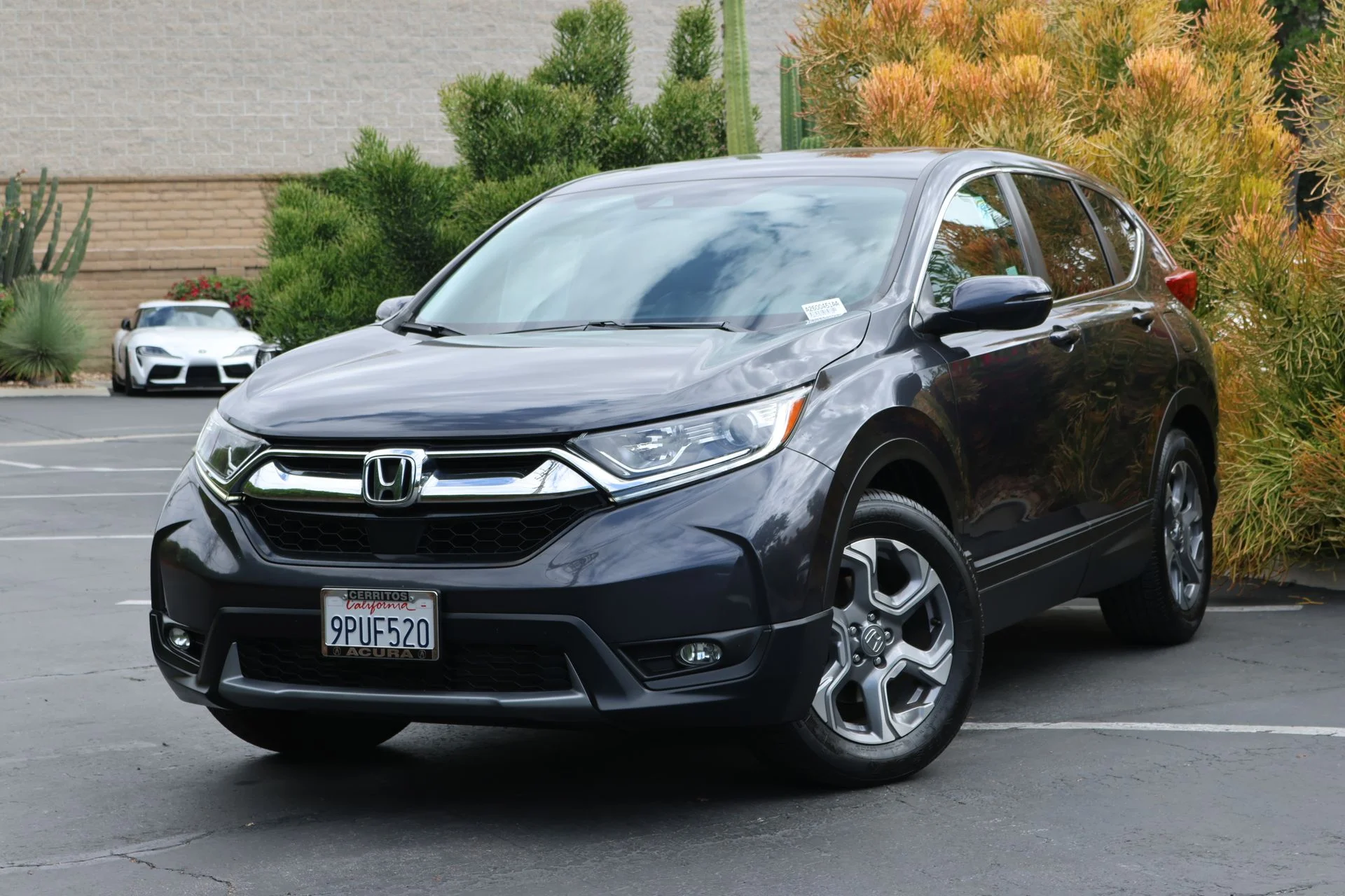2019 Honda CR-V EX-L 2WD's photo
