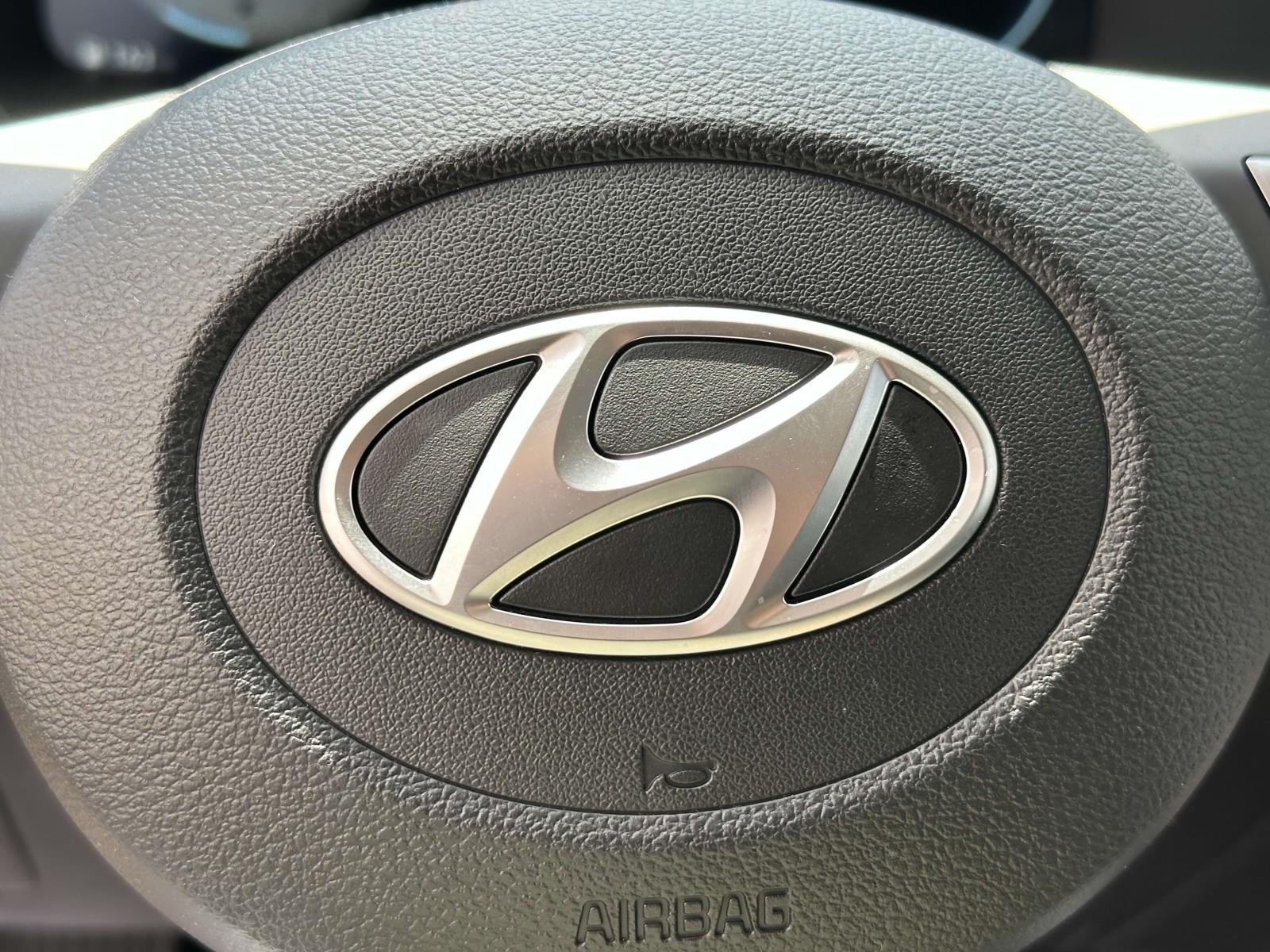 2025 Hyundai Palisade SEL Premium - Photo 21
