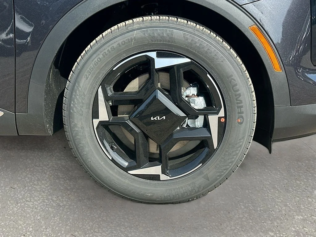 New 2026 Panthera Metal Kia EX image 30