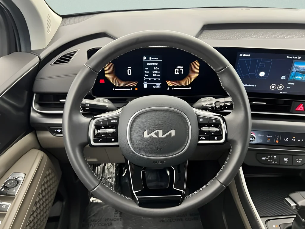 Used 2026 Panthera Metal Kia LXS image 13