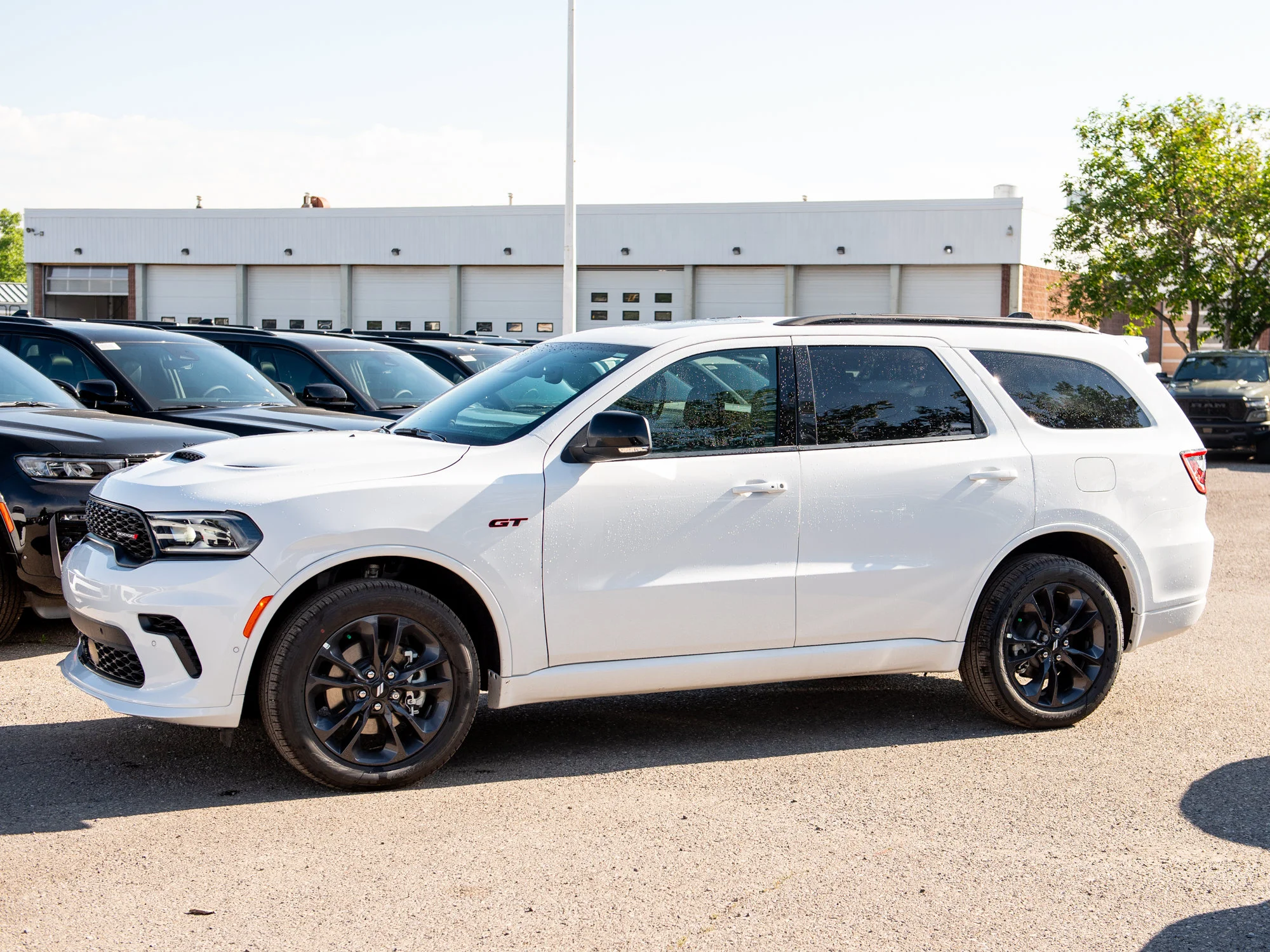 New 2026 White Dodge GT Plus* image 2