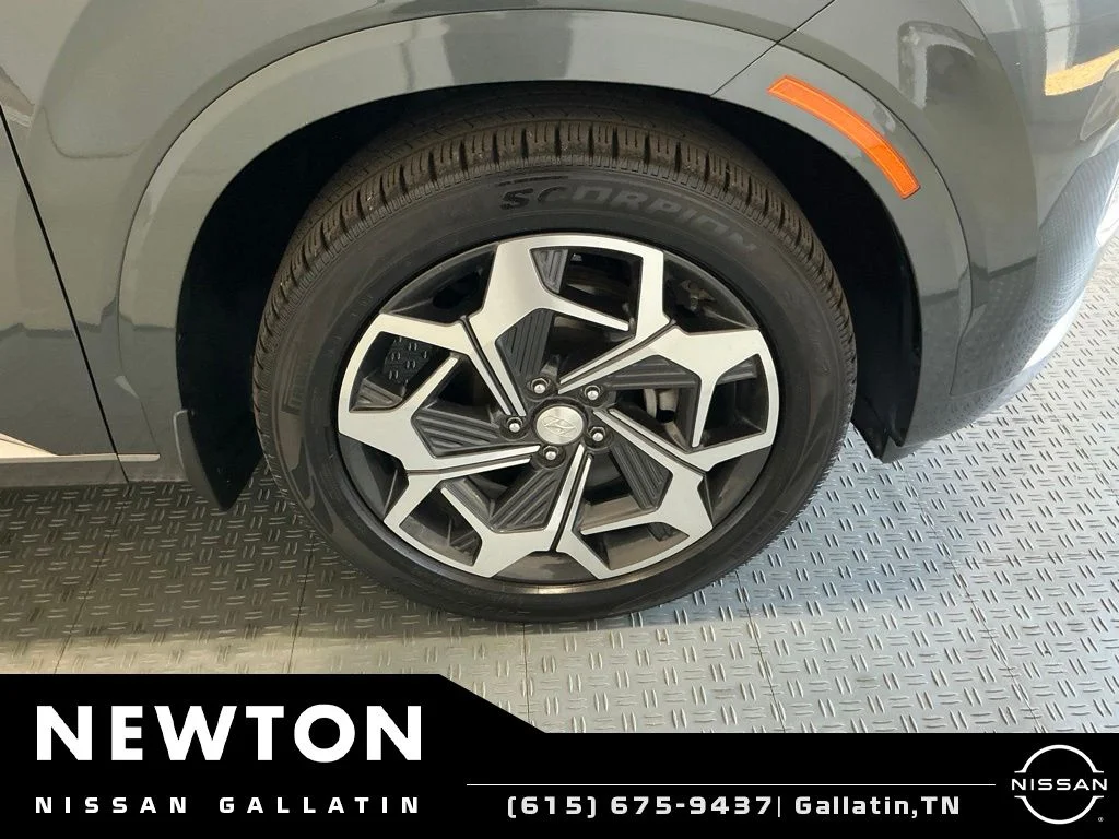 Used 2022 Rainforest Hyundai Calligraphy image 60