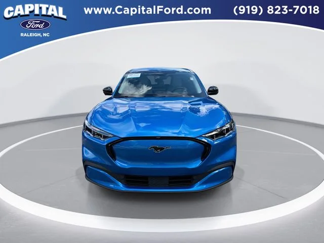 Used 2025 Blue Ford Premium image 3