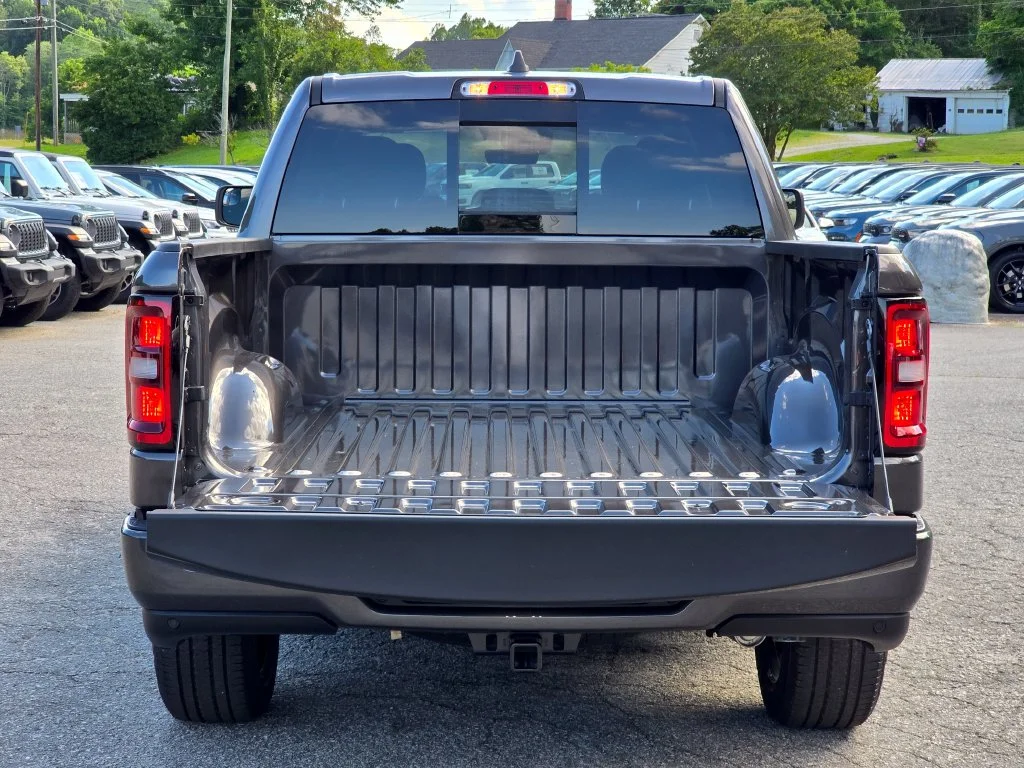 New 2026 Gray Ram Express image 12