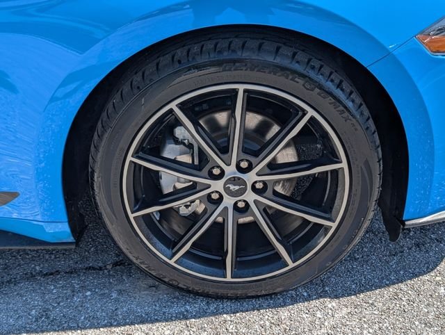 Used 2023 Grabber Blue Metallic Ford EcoBoost image 9
