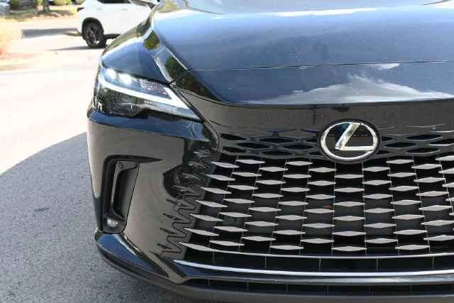 2025 Lexus RX 350 - Photo 14