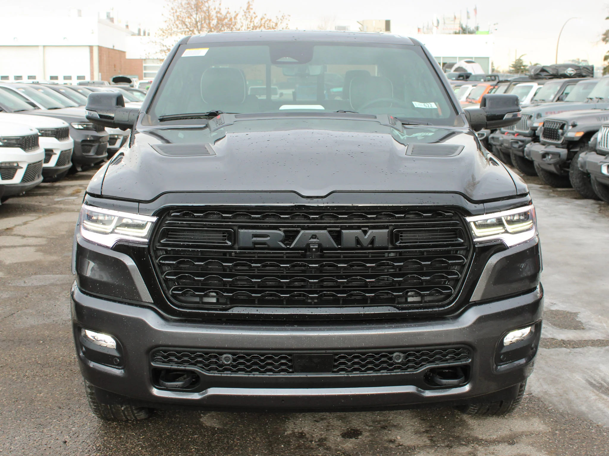 New 2026 Grey RAM Limited* image 10