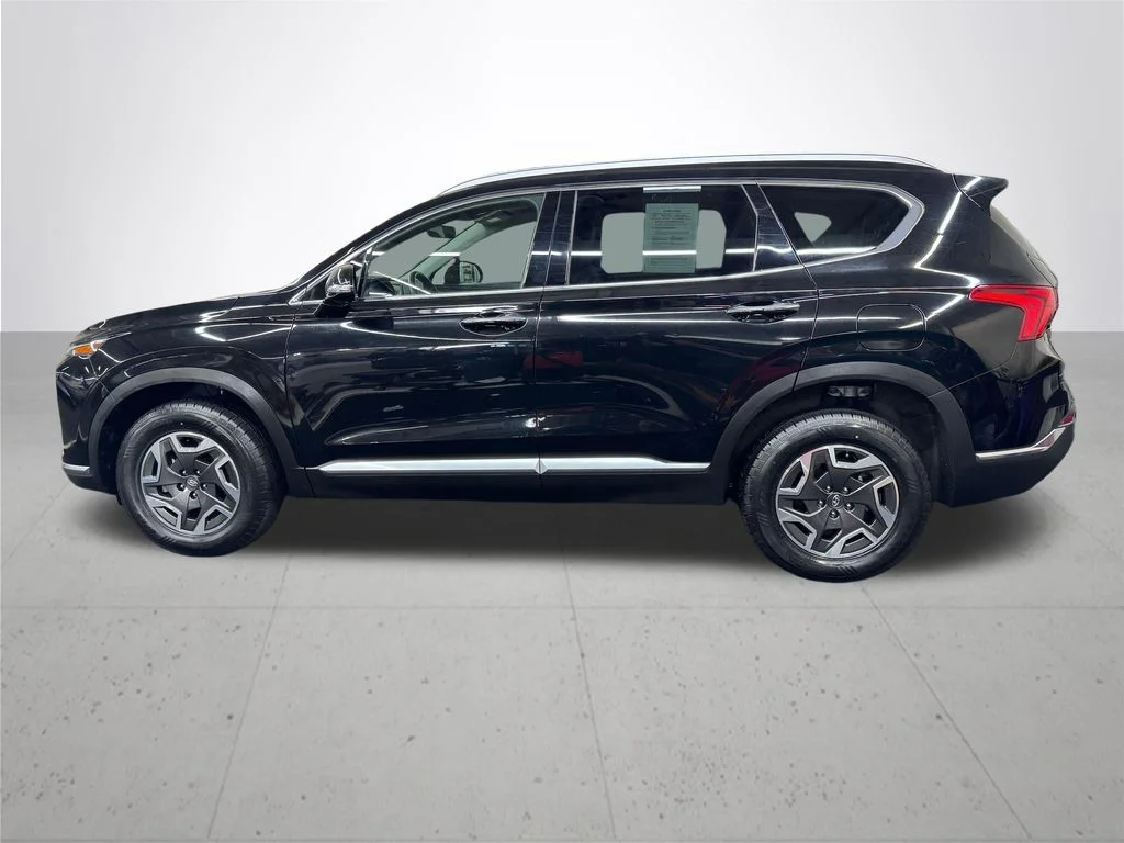 Used 2023 Black Hyundai Blue image 3