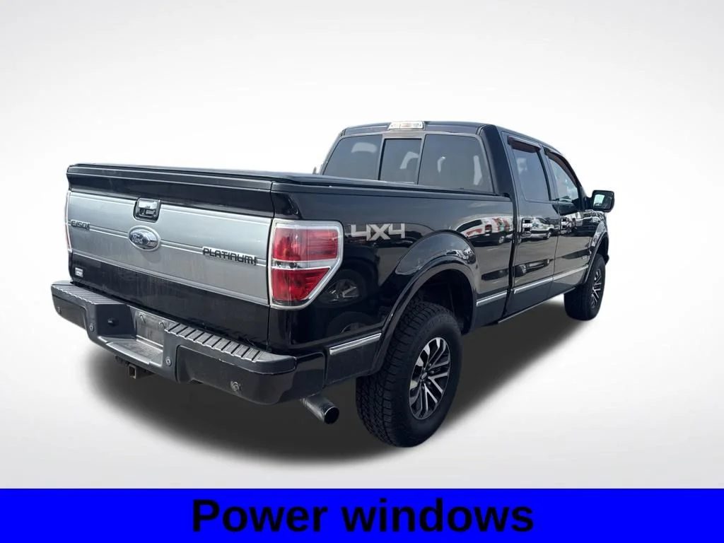 Used 2014 Brown Ford Platinum image 3