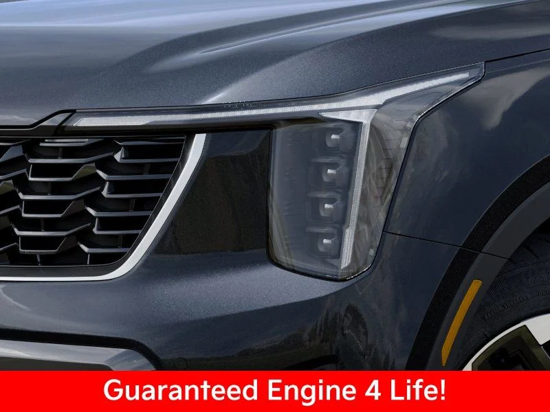 New 2026 Panthera Metal Kia S image 12
