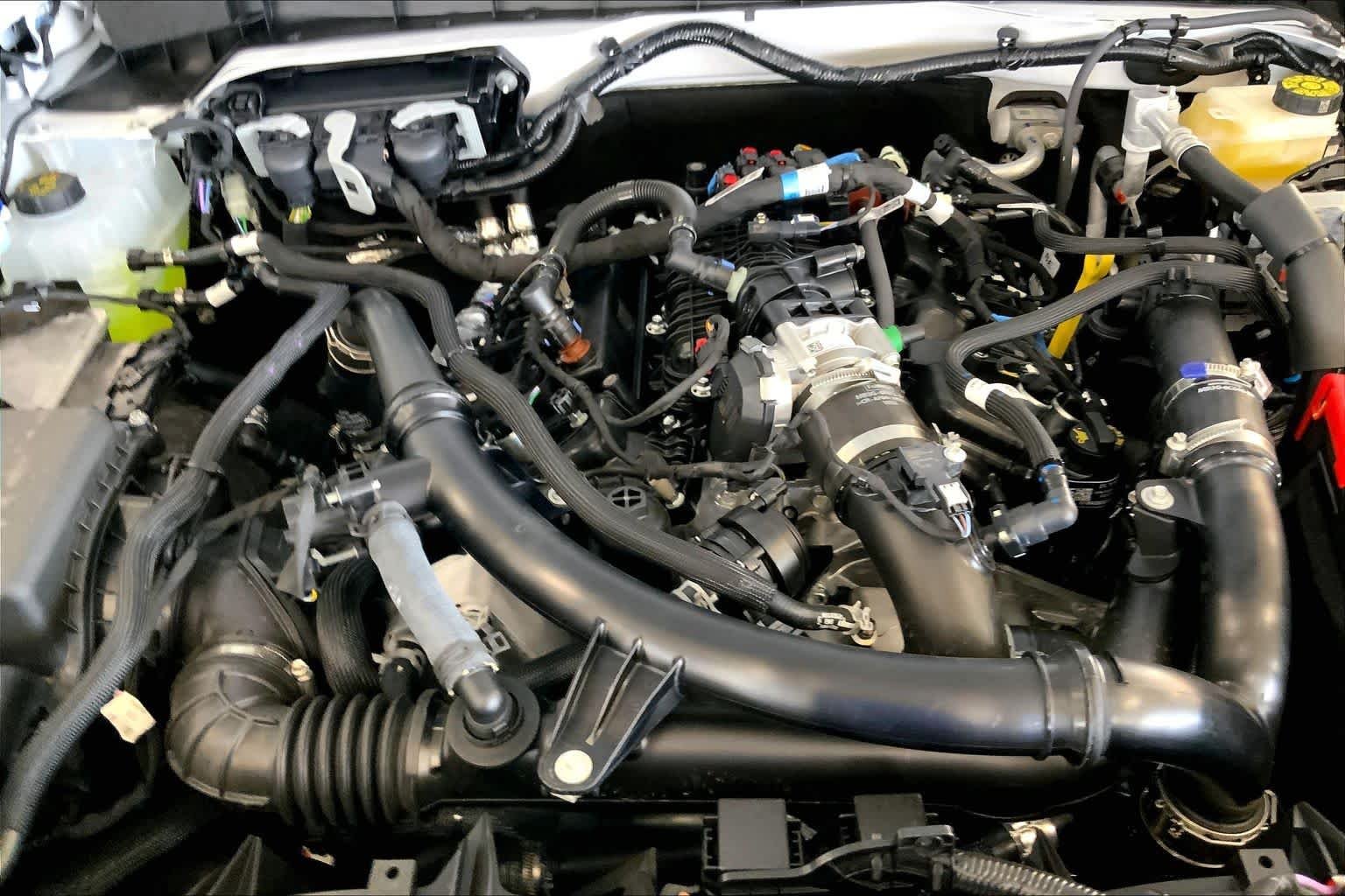 New 2026 Oxford White Ford Stroppe Edition image 16