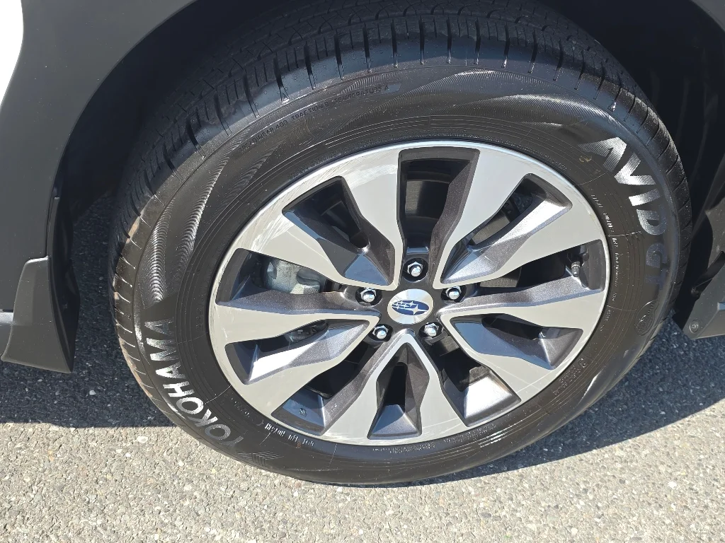 2025 Subaru Outback Limited - Photo 19
